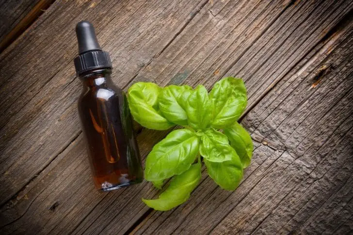 Aceite esencial de albahaca en una botella junto a hoja de albahaca.