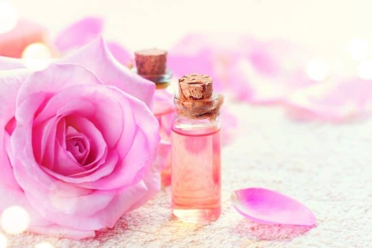 Aceite esencial de rosa de damasco en botellita de cristal junto a flor de rosa de damasco.