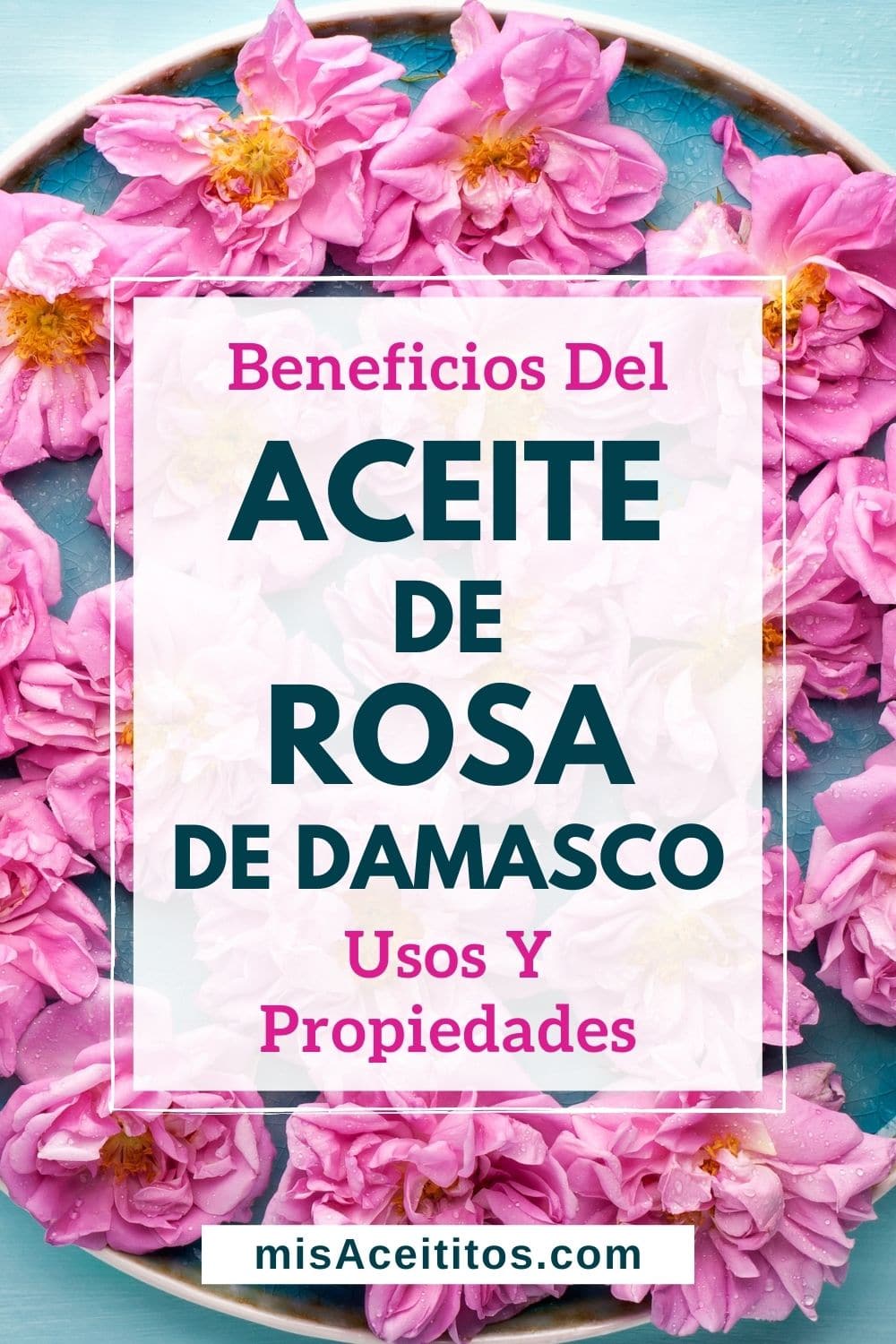 Aceite esencial de rosa de damasco: Beneficios, propiedades y usos.