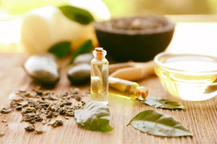 Pequeña botellita con aceite de árbol de té junto a hojas de árbol de té.