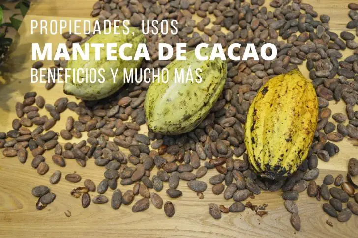 Manteca de Cacao Propiedades Usos Beneficios