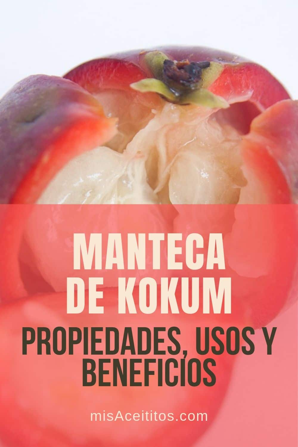 Conoce la manteca de kokum y las maravillas que puede hacer en tu piel, rostro, cabello y más. Te cuento todas sus propiedades, usos y beneficios.